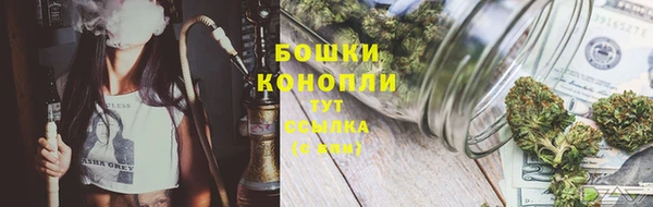 крисы Михайловка