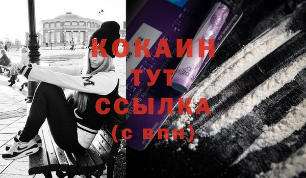 ГАЛЛЮЦИНОГЕННЫЕ ГРИБЫ Михайлов