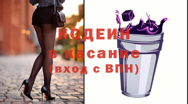 ГАЛЛЮЦИНОГЕННЫЕ ГРИБЫ Михайлов