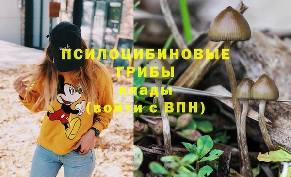 крисы Михайловка