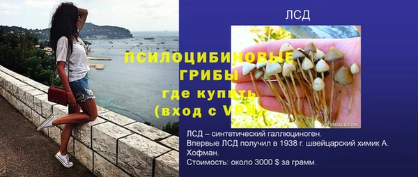 ГАЛЛЮЦИНОГЕННЫЕ ГРИБЫ Михайлов