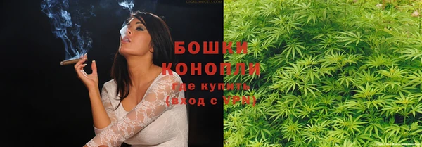 ГАЛЛЮЦИНОГЕННЫЕ ГРИБЫ Михайлов
