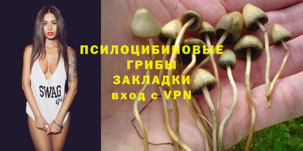 ГАЛЛЮЦИНОГЕННЫЕ ГРИБЫ Михайлов