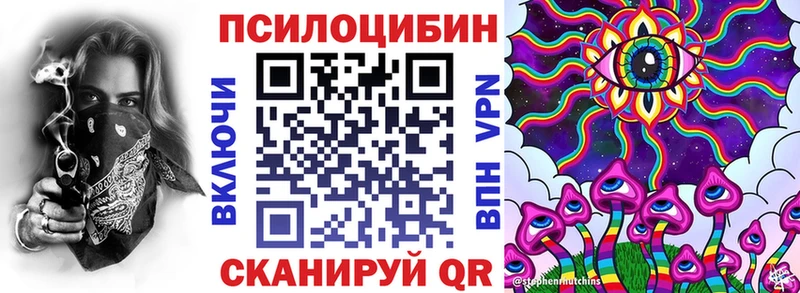 Галлюциногенные грибы MAGIC MUSHROOMS  Купить  Андреаполь 